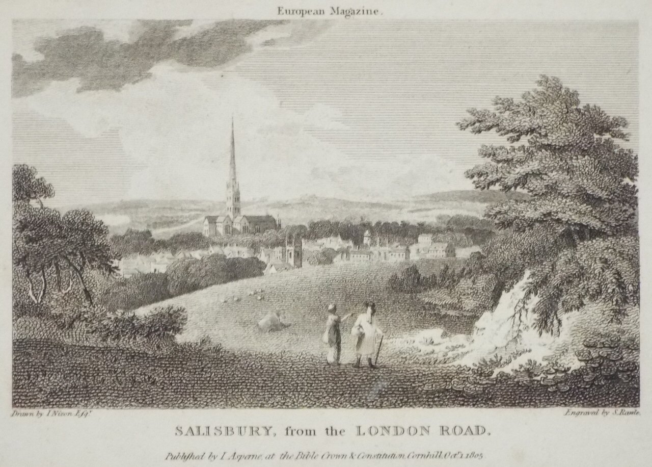 Print - Salisbury, from the London Road. - Rawle